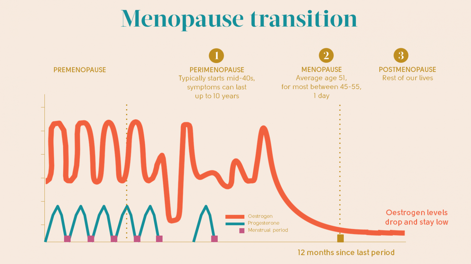My Menopause Centre Understanding The Menopause 3633